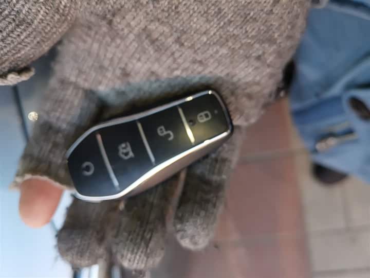 BYD Seal 05 DM-i Hybrid 2025 2025款 DM-i 智驾版 55KM豪华型