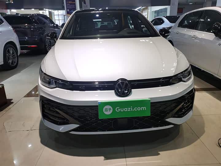 Volkswagen Golf 2025 2025款 300TSI R-Line