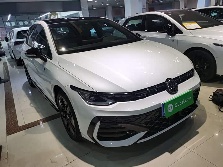 Volkswagen Golf 2025 2025款 300TSI R-Line