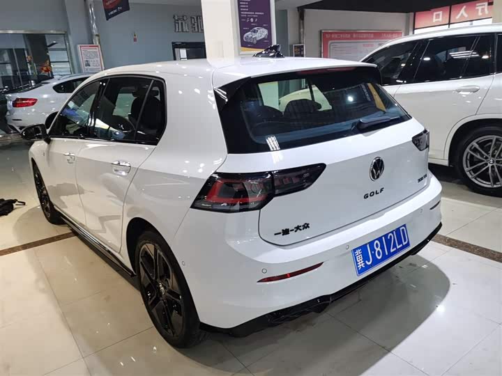 Volkswagen Golf 2025 2025款 300TSI R-Line