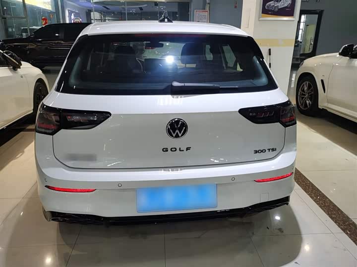 Volkswagen Golf 2025 2025款 300TSI R-Line