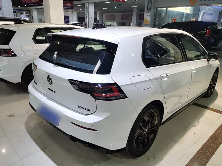 Volkswagen Golf 2025 2025款 300TSI R-Line