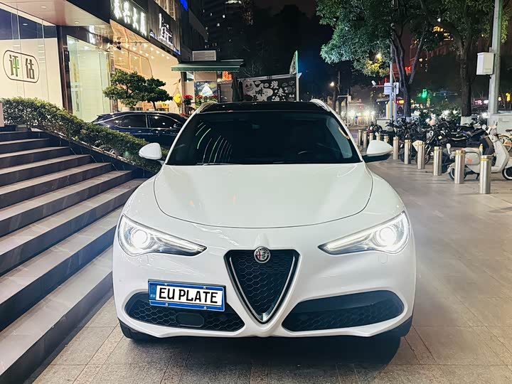 Alfa Romeo Stelvio 2021 2021款 2.0T 280HP 豪华版