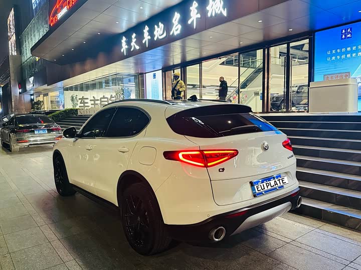 Alfa Romeo Stelvio 2021 2021款 2.0T 280HP 豪华版