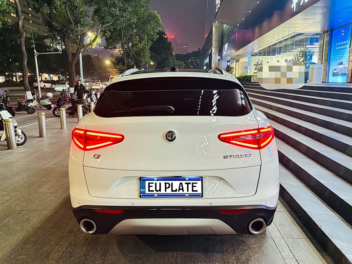 Alfa Romeo Stelvio 2021 2021款 2.0T 280HP 豪华版