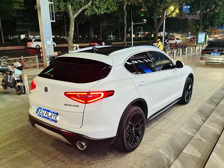 Alfa Romeo Stelvio 2021 2021款 2.0T 280HP 豪华版