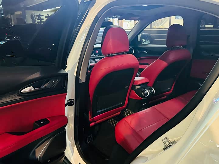 Alfa Romeo Stelvio 2021 2021款 2.0T 280HP 豪华版