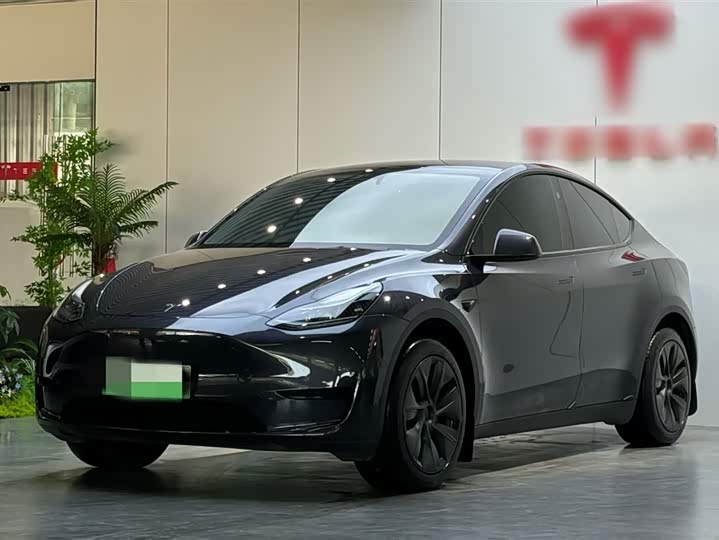 Tesla Model Y 2024 2024款 后轮驱动版