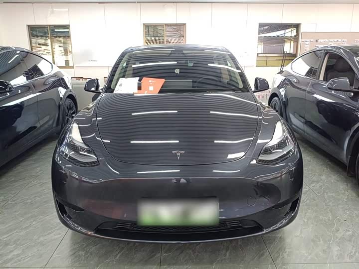 Tesla Model Y 2024 2024款 后轮驱动版
