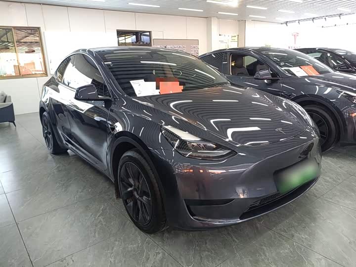 Tesla Model Y 2024 2024款 后轮驱动版