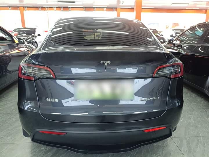 Tesla Model Y 2024 2024款 后轮驱动版