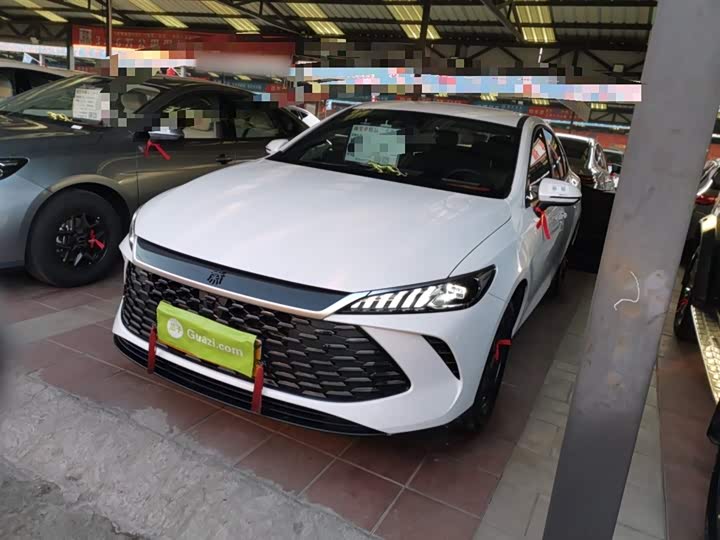 BYD Qin Plus 2025 2025款 DM-i 智驾版 128KM进取型