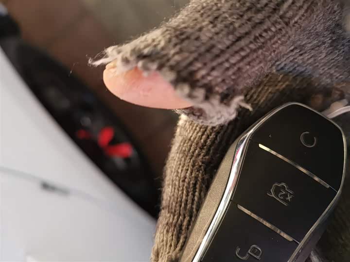 BYD Qin Plus 2025 2025款 DM-i 智驾版 128KM进取型