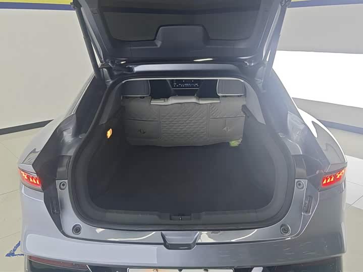 2024 Dongfeng Yipai eπ 007