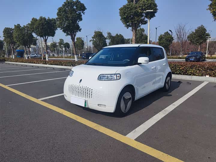 Ora White Cat 2020 2020款 360km 豪华型