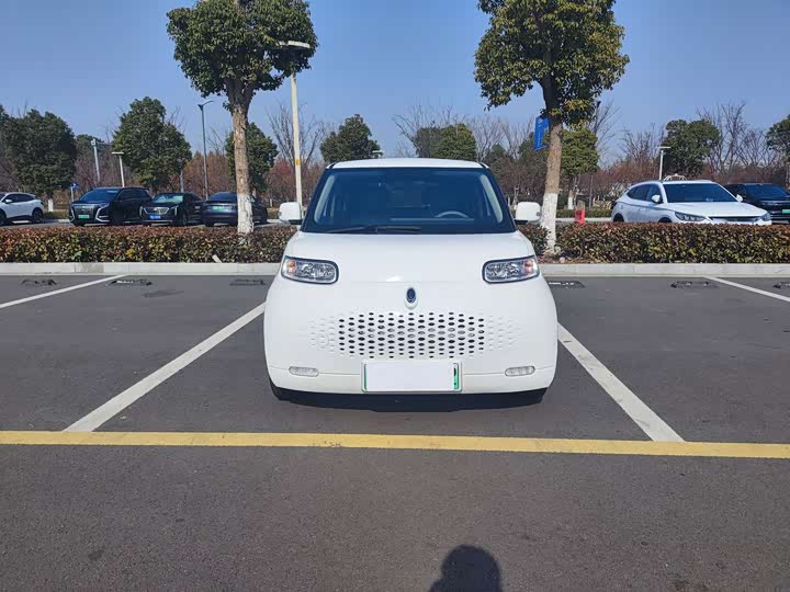 Ora White Cat 2020 2020款 360km 豪华型