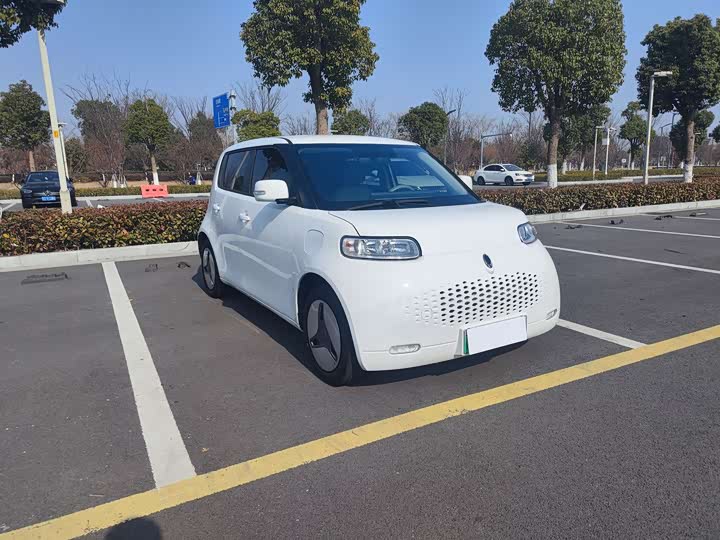 Ora White Cat 2020 2020款 360km 豪华型
