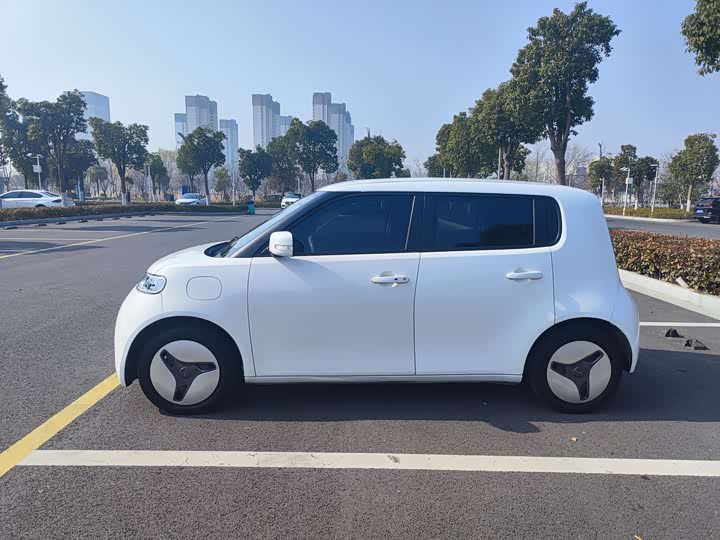 Ora White Cat 2020 2020款 360km 豪华型