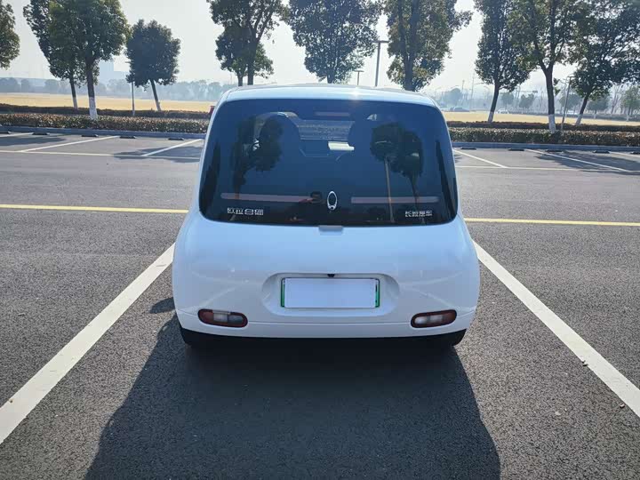 Ora White Cat 2020 2020款 360km 豪华型