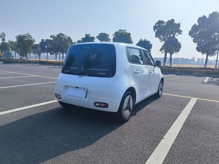 Ora White Cat 2020 2020款 360km 豪华型