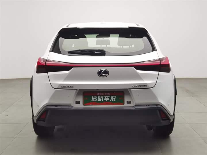Lexus UX 2020 2020款 260h 探·趣版 国V