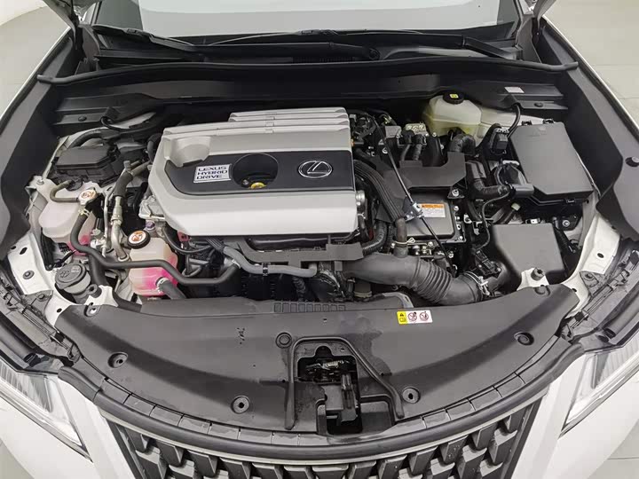 Lexus UX 2020 2020款 260h 探·趣版 国V