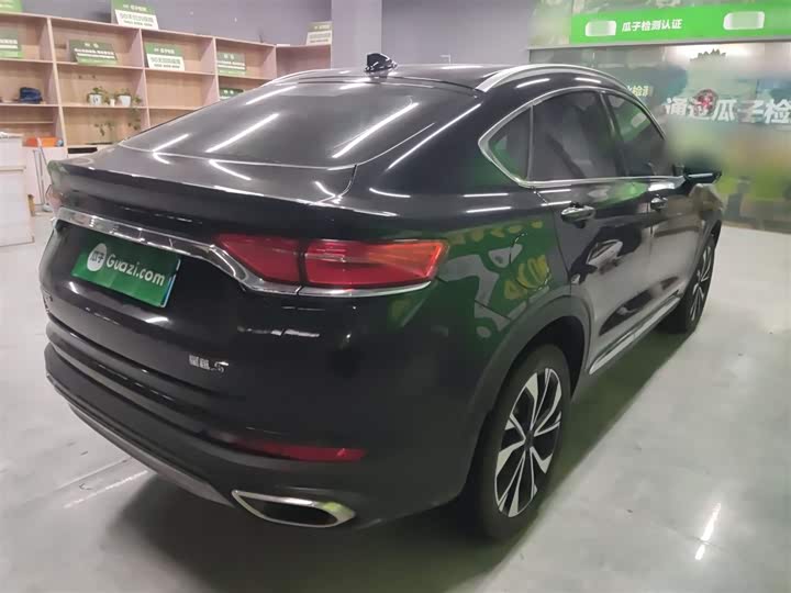 Geely Tugella S 2021 2021款 2.0TD DCT两驱闪电版