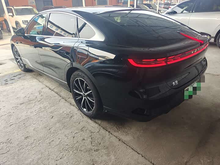 Voyah Passion 2024 2024款 PHEV 四驱超长续航行政版