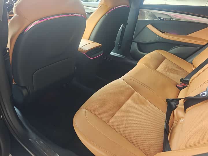 Voyah Passion 2024 2024款 PHEV 四驱超长续航行政版