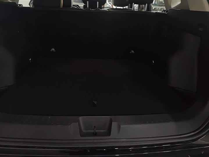 2024 Haval H-Dog Hybrid