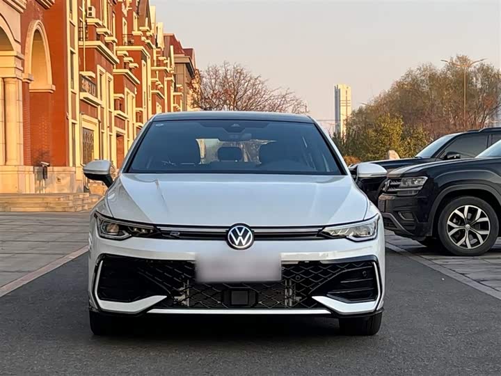 Volkswagen Golf 2025 2025款 300TSI R-Line