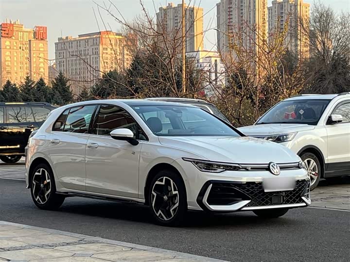 Volkswagen Golf 2025 2025款 300TSI R-Line