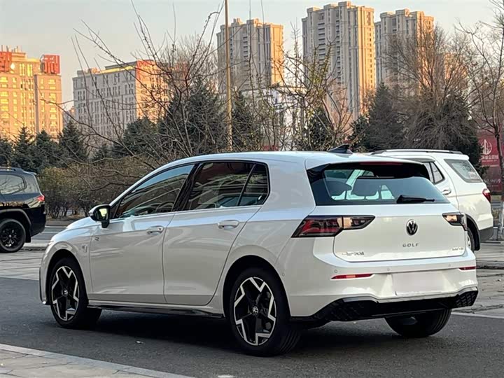 Volkswagen Golf 2025 2025款 300TSI R-Line