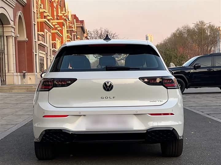 Volkswagen Golf 2025 2025款 300TSI R-Line