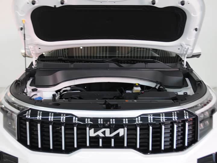 Kia Sportage GT-line 2021 2021款 Ace 2.0L 精彩版