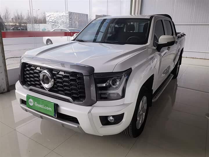 Great Wall King Kong Poer 2024 2024款 2.0T手动柴油两驱创业型平箱