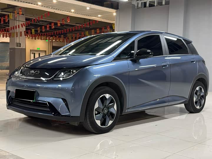 2025 BYD Dolphin