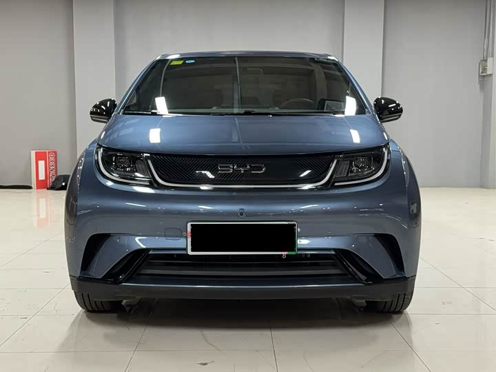 2025 BYD Dolphin