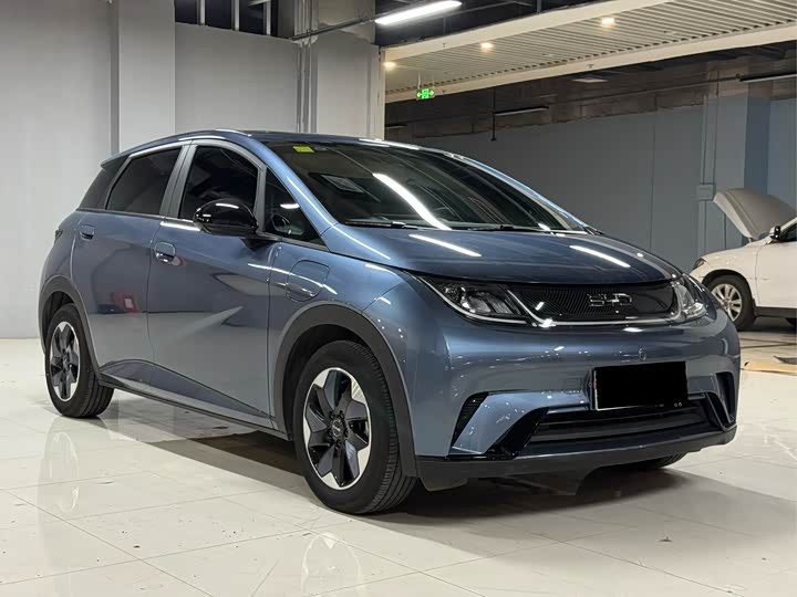 2025 BYD Dolphin
