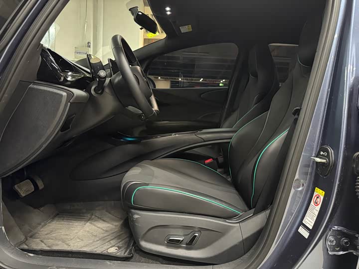 BYD Dolphin 2025 2025款 420km 自由版