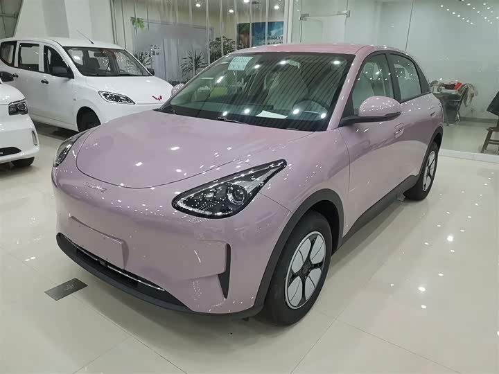 Geely Galaxy Geome 2026 2026款 310km 青春版