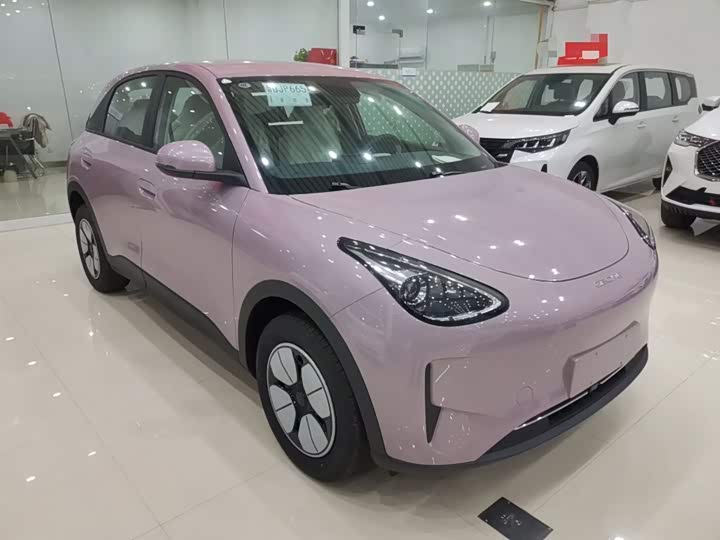 Geely Galaxy Geome 2026 2026款 310km 青春版