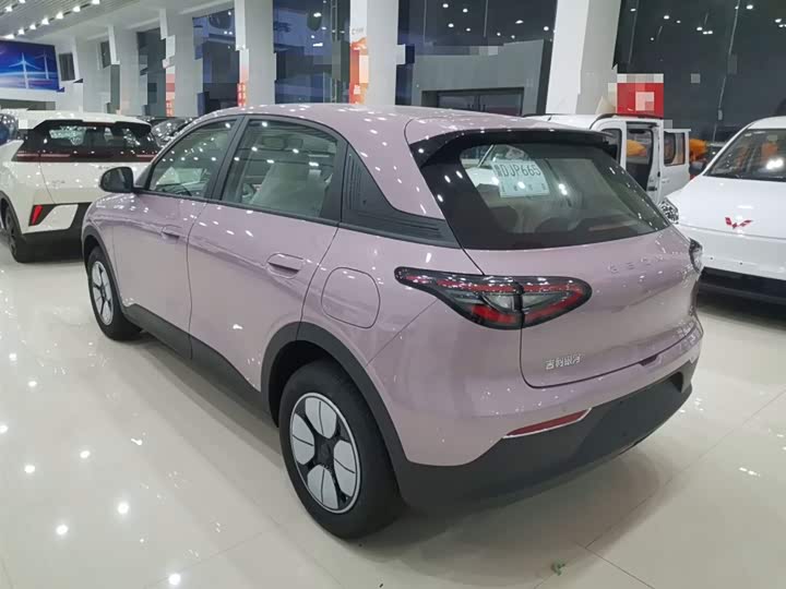 Geely Galaxy Geome 2026 2026款 310km 青春版
