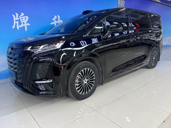 2025 Denza D9