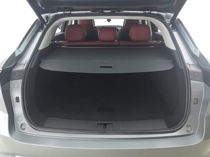 Exeed RX C-DM Hybrid 2024 2024款 1.5T 长续航Plus