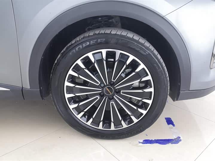 Exeed RX C-DM Hybrid 2024 2024款 1.5T 长续航Plus