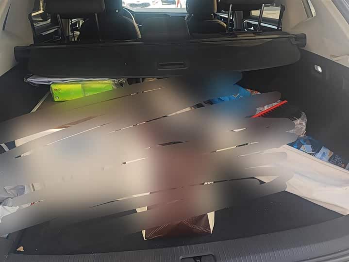 Volkswagen Tayron GTE Hybrid 2022 2022款 1.4T 豪华型