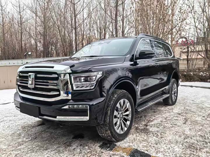 Tank 500 Hybrid 2025 2025款 Hi4-Z