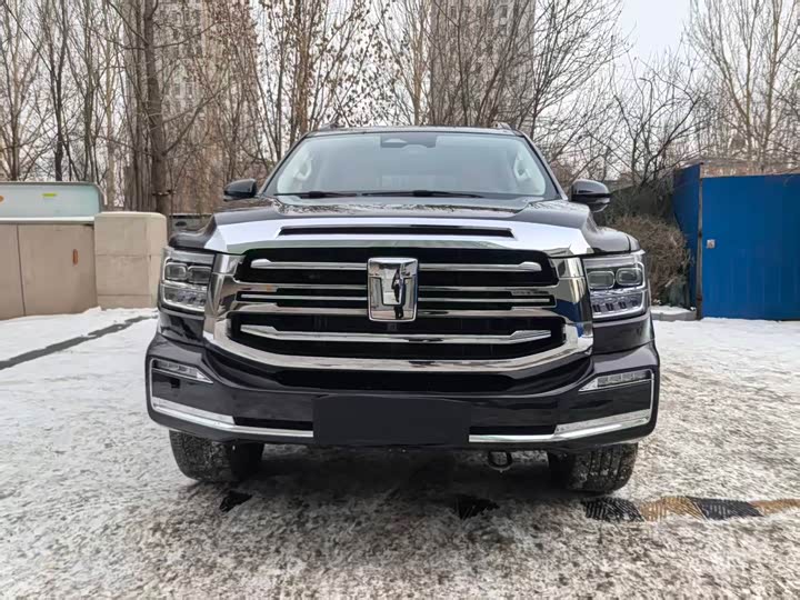 Tank 500 Hybrid 2025 2025款 Hi4-Z