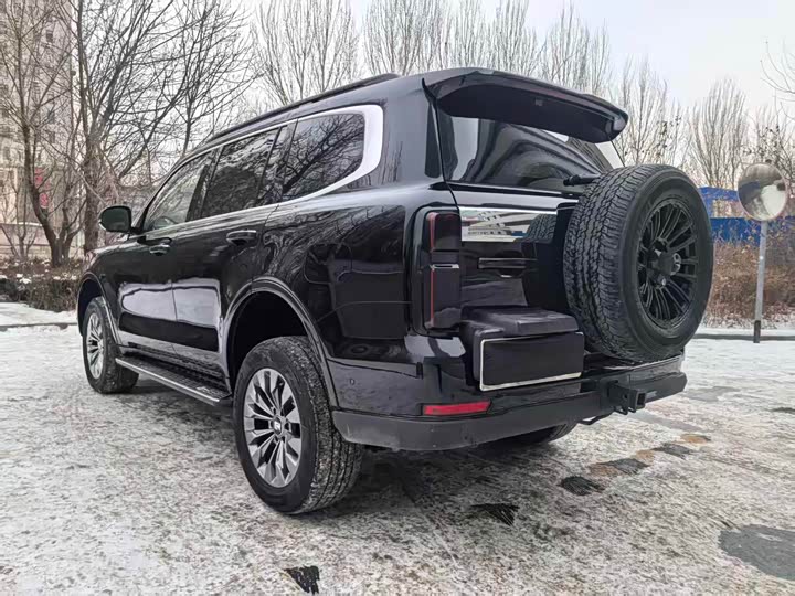 Tank 500 Hybrid 2025 2025款 Hi4-Z